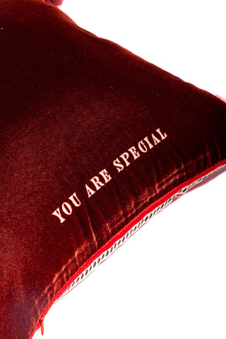 Pillow Case (You are special)