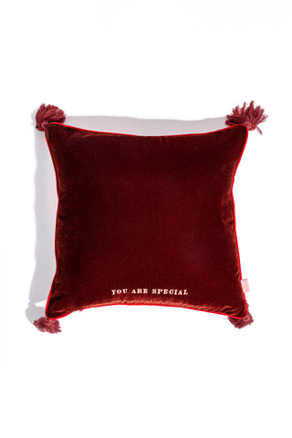 Pillow Case (You are special)