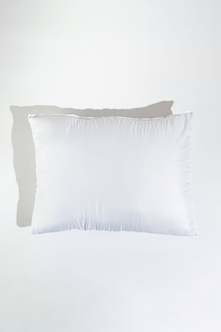 Pillow Insert (33x55)
