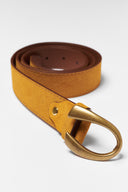 Abed Belt