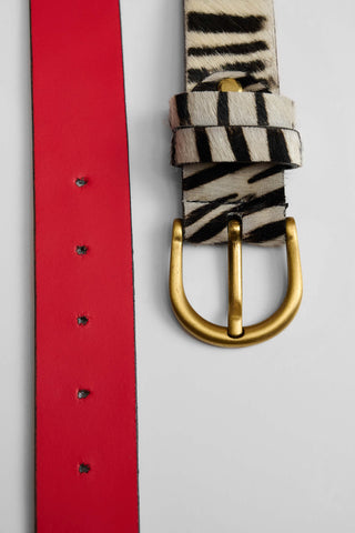Zina Belt